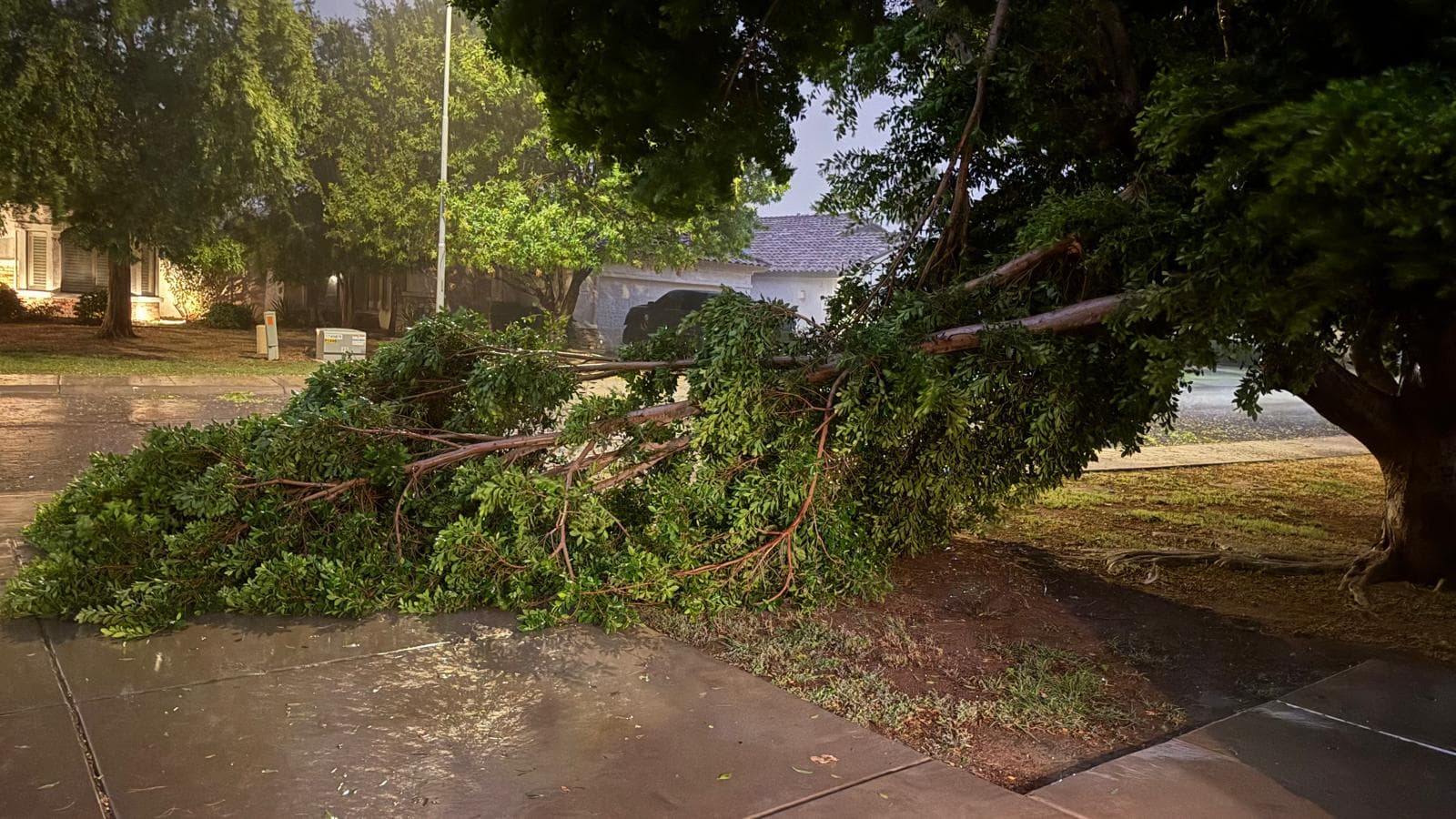Powerful Monsoon Storms Sweep Phoenix Metro With 68 MPH Winds, Dust and Tree Damage